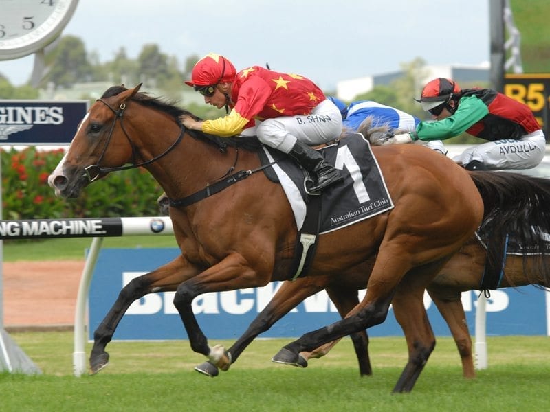 First Seal wins the Millie Fox Stakes on February 20 at Rosehilll. 