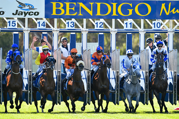 Bendigo races
