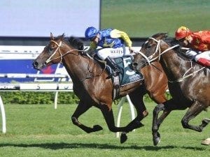 Le Romain makes a winning statement in Group 1 Randwick Guineas