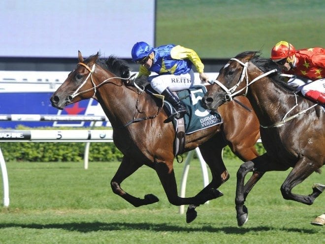 Le Romain (left) with Christian Reith aboard beating odds-on favourite Press Statement ridden by Hugh Bowman in the Randwick Guineas on Saturday, March 5, 2016. 