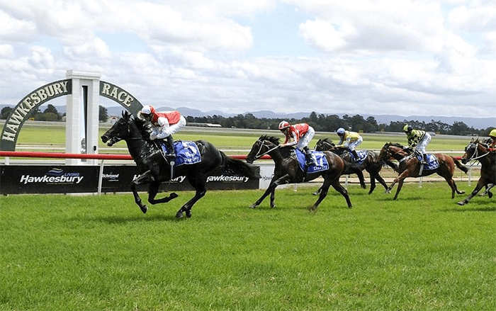 Hawkesbury horse racing