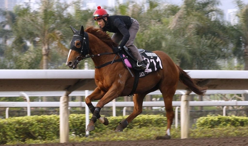 Brett Prebble and Lucky Bubbles