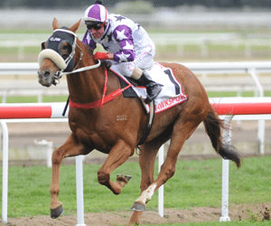 Hawkspur