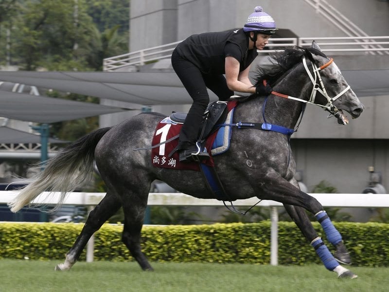 Chautauqua returned to the track and was soundly beaten in the G1 Moir Stakes, but the main prize is the Hong Kong Sprint later in the year, according to connections. 