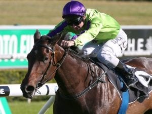 Global Glamour wins Group 1 Flight Stakes