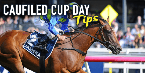 Caulfield Cup tips