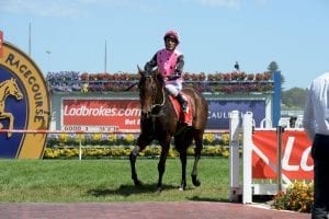 Flying Artie to clash with Extreme Choice after Blue Sapphire win