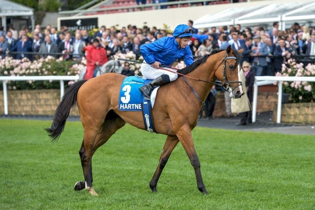 Godolphin hoping to end Melbourne Cup drought Horse Betting