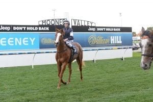 The United States to target Longines Mile after Moonee Valley win