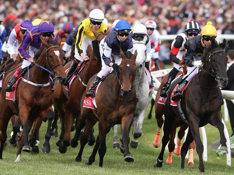 Punters open wallets on Melbourne Cup day