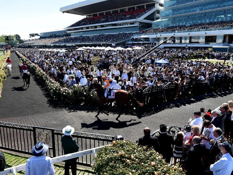 Thousands expected at Melbourne Cup