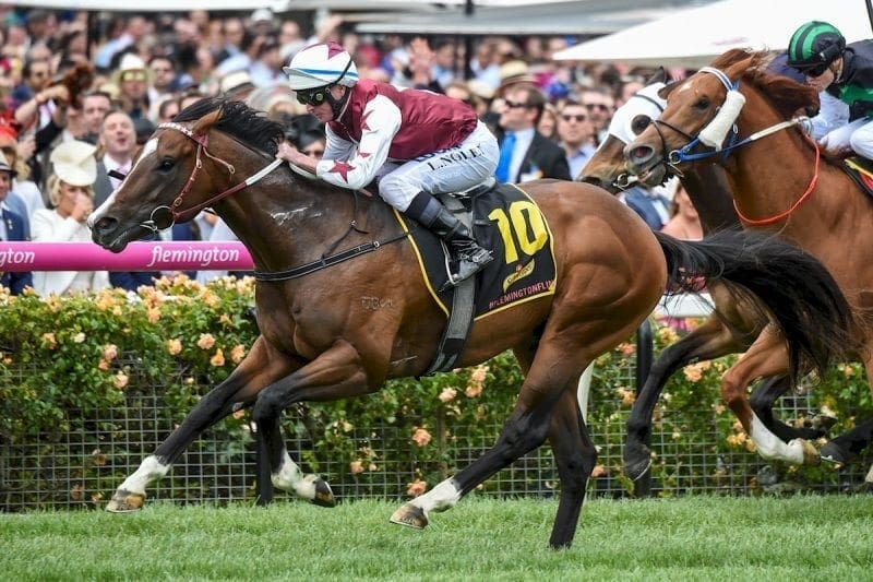 Speedeor, pictured at his last start, ridden by Luke Nolen winning the Schweppes #FlemingtonFling at Flemington Racecourse on November 01, 2016 in Flemington, Australia. (Brett Holburt/Racing Photos)