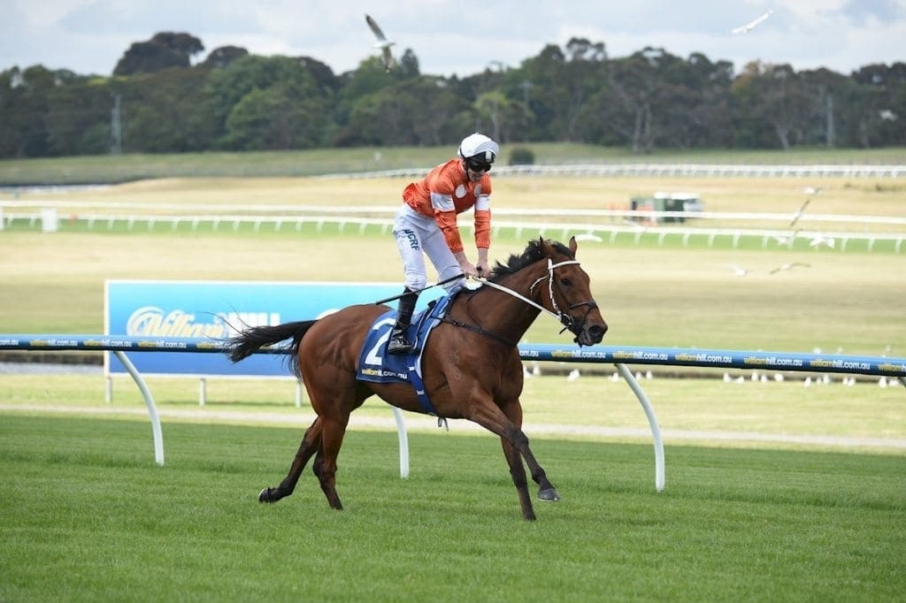 Who Shot Thebarman Melbourne Cup 2018