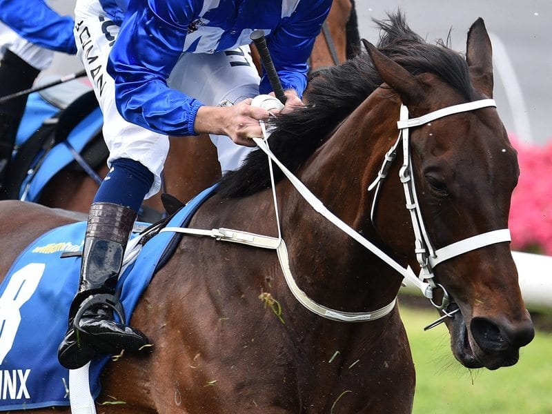 Winx returns to work for autumn campaign