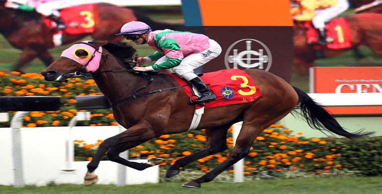 2021 hong kong sprint betting guide hk racing odds tips