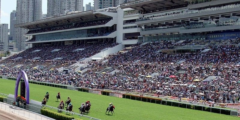 Sha Tin races