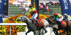california memory hong kong cup Hong Kong Cup betting Australia