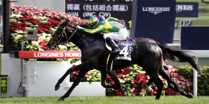 satono crown feature size Satono Crown betting