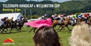 Telegraph Handicap and Wellington Cup betting guide with tips