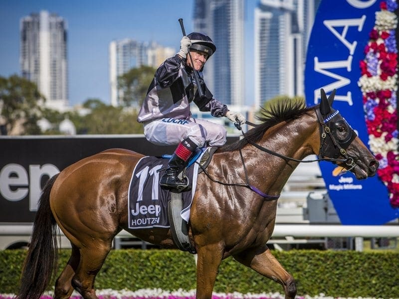 Jockey Jeff Lloyd riding Houtzen