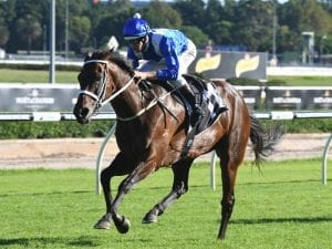 Winx returns with Apollo Stakes victory