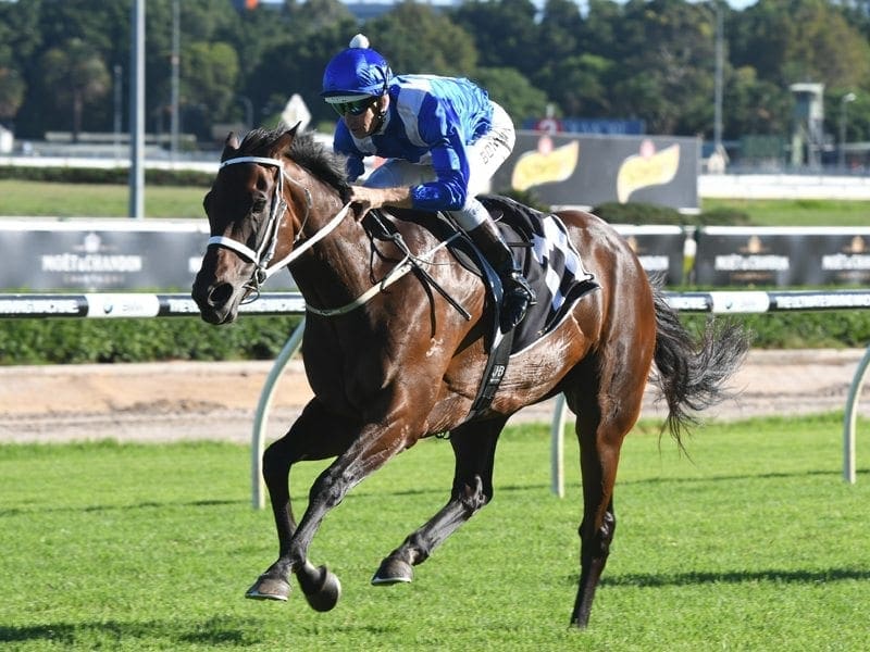 Winx, ridden by Hugh Bowman