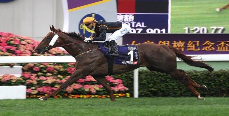 The John Moore-trained Able Friend will grace Sha Tin for the last ...