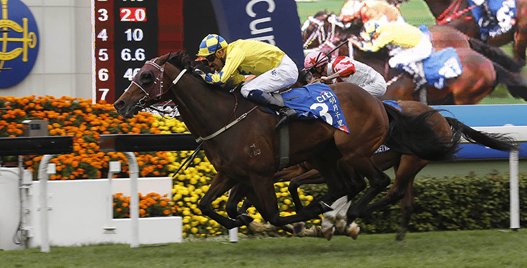 ... hoop Hugh Bowman, wins the Hong Kong Gold Cup on Sunday. Picture: HKJC