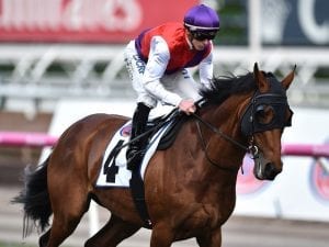 Our Ivanhowe fails vet test ahead of BMW