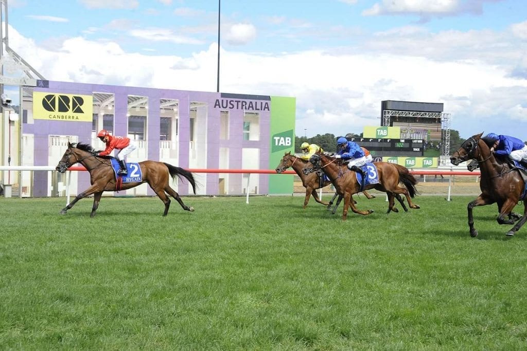 Gold Symphony wins in Canberra