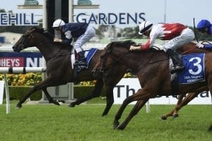 Assign wins Neville Selwood Stakes