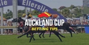 2017 Auckland Cup