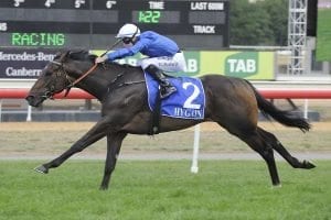 Tommy Berry wins in Canberra