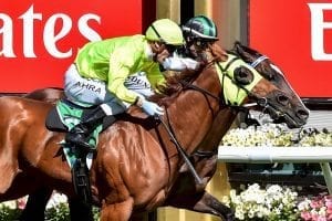 Blame Stakes betting Australia