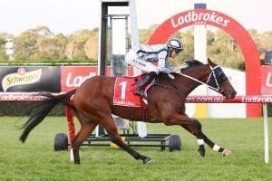 Bel Burgess, ridden by Jordan Childs