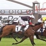 Australasian Oaks Australasian Oaks