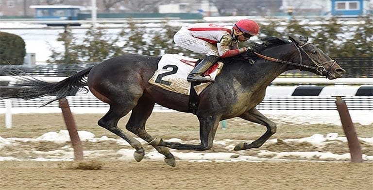 Patience pays off for Cloud Computing in Preakness Stakes ...