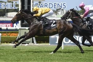 Rosehill Gardens betting preview, top tips & odds | 30/01/21