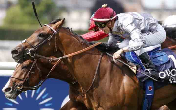 Jean Claude-Rouget horse Brametot