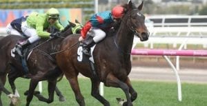 Full steam ahead for Cannyescent towards the Spring Carnival