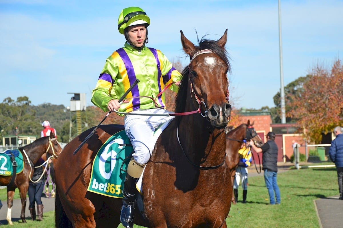 Quaddie tips for Thursday, June 29 races at Ballarat Horse Betting