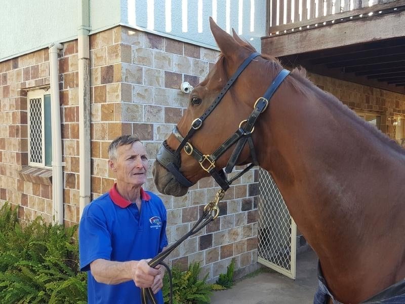 Trainer Bruce Brown and horse displaying a Protype Halter