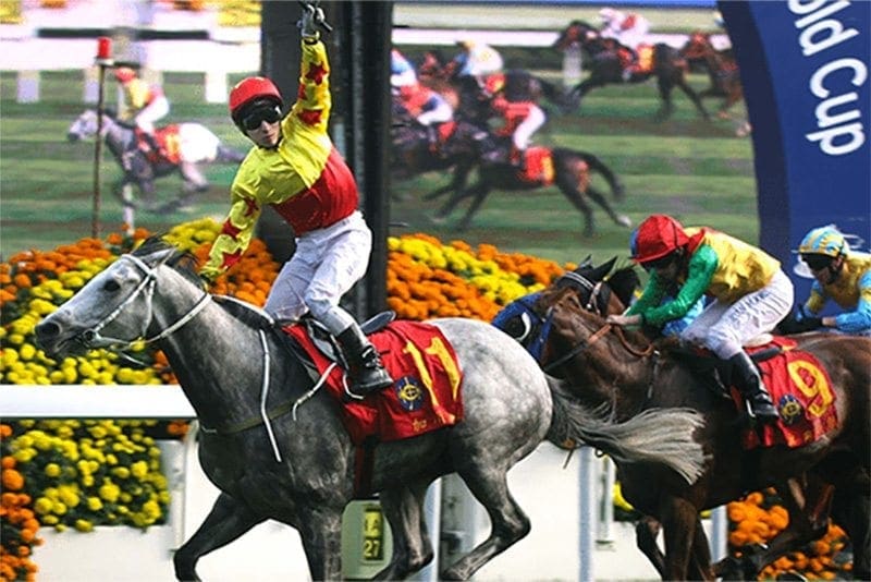 Hong Kong Cup