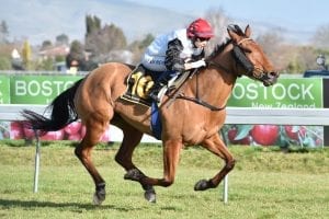 Stakes double on the cards for Lucyinrio