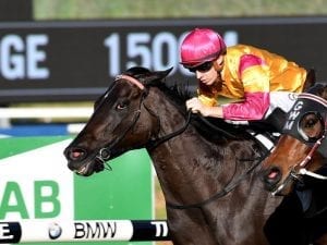Waugh celebrates Listed win with Shiraz