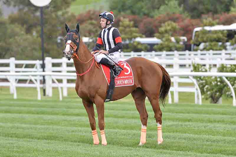Tommy Berry on Curren Mirotic at Melbourne Cup 2017