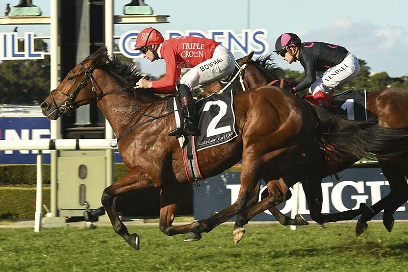 Gold Symphony wins Civic Stakes