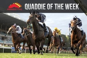 quaddie of the week
