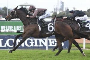Supply And Demand wins at Rosehill