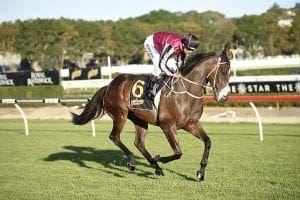 546040.jpg Easy trial for Hanwritten ahead of Doomben